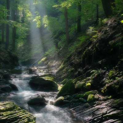 Waterfalls in Forest with Sunlight