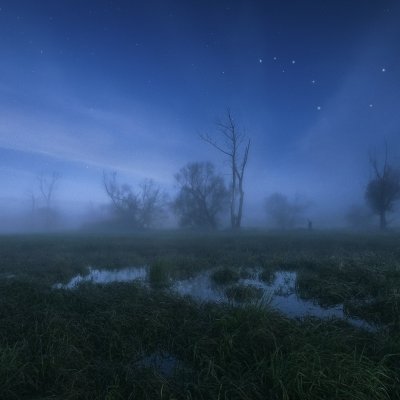 Night above Swamps