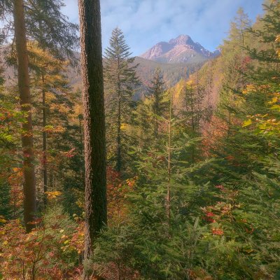 Autumn in High Tatras Mountains