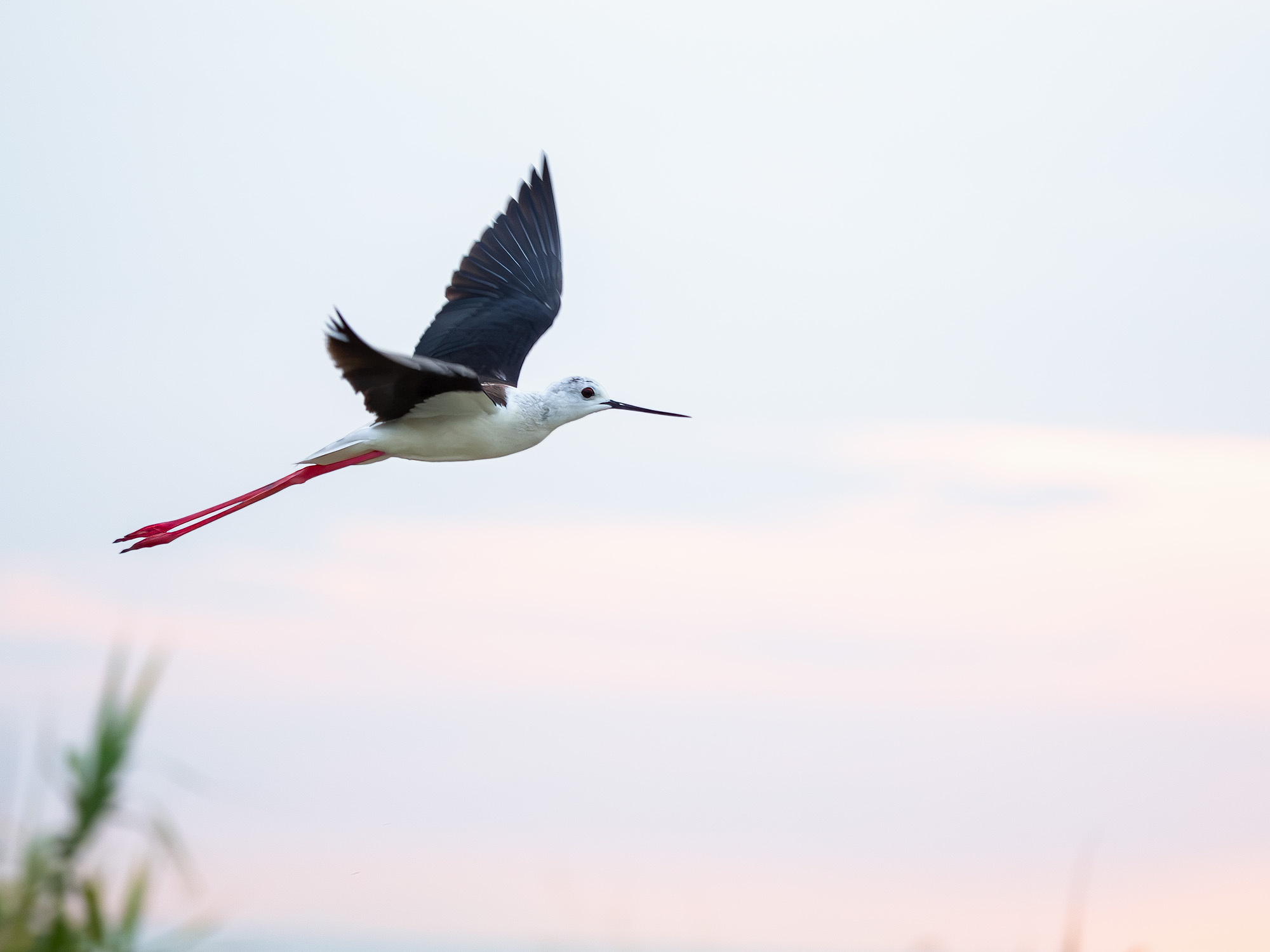 In Flight