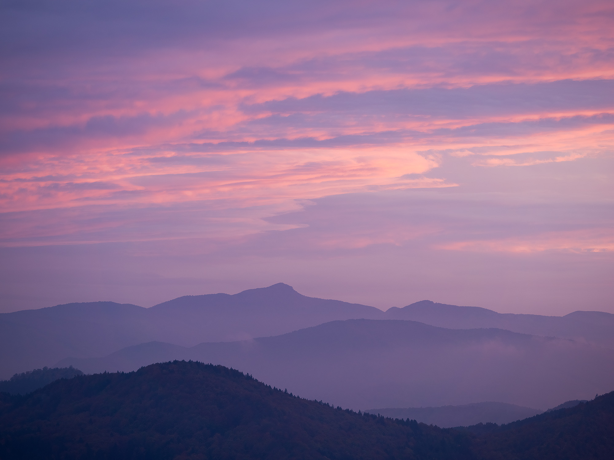 Crimson Horizons