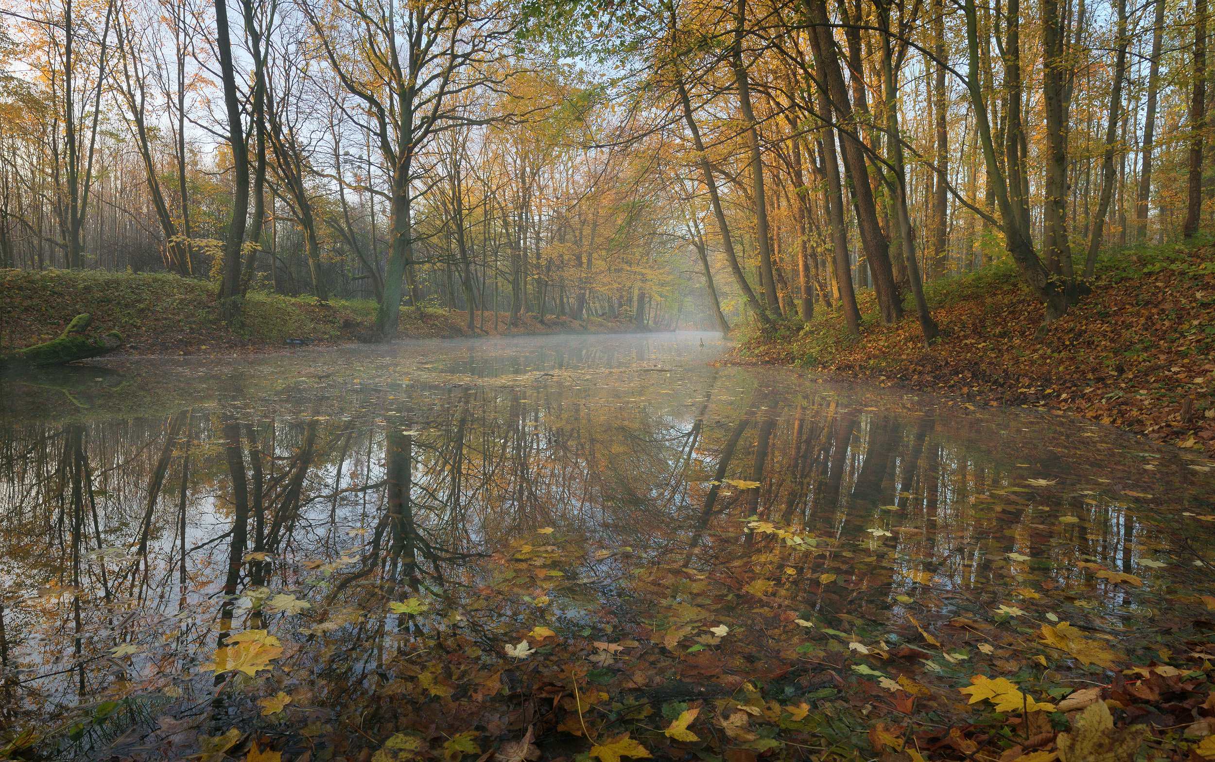 Autumn Melancholy