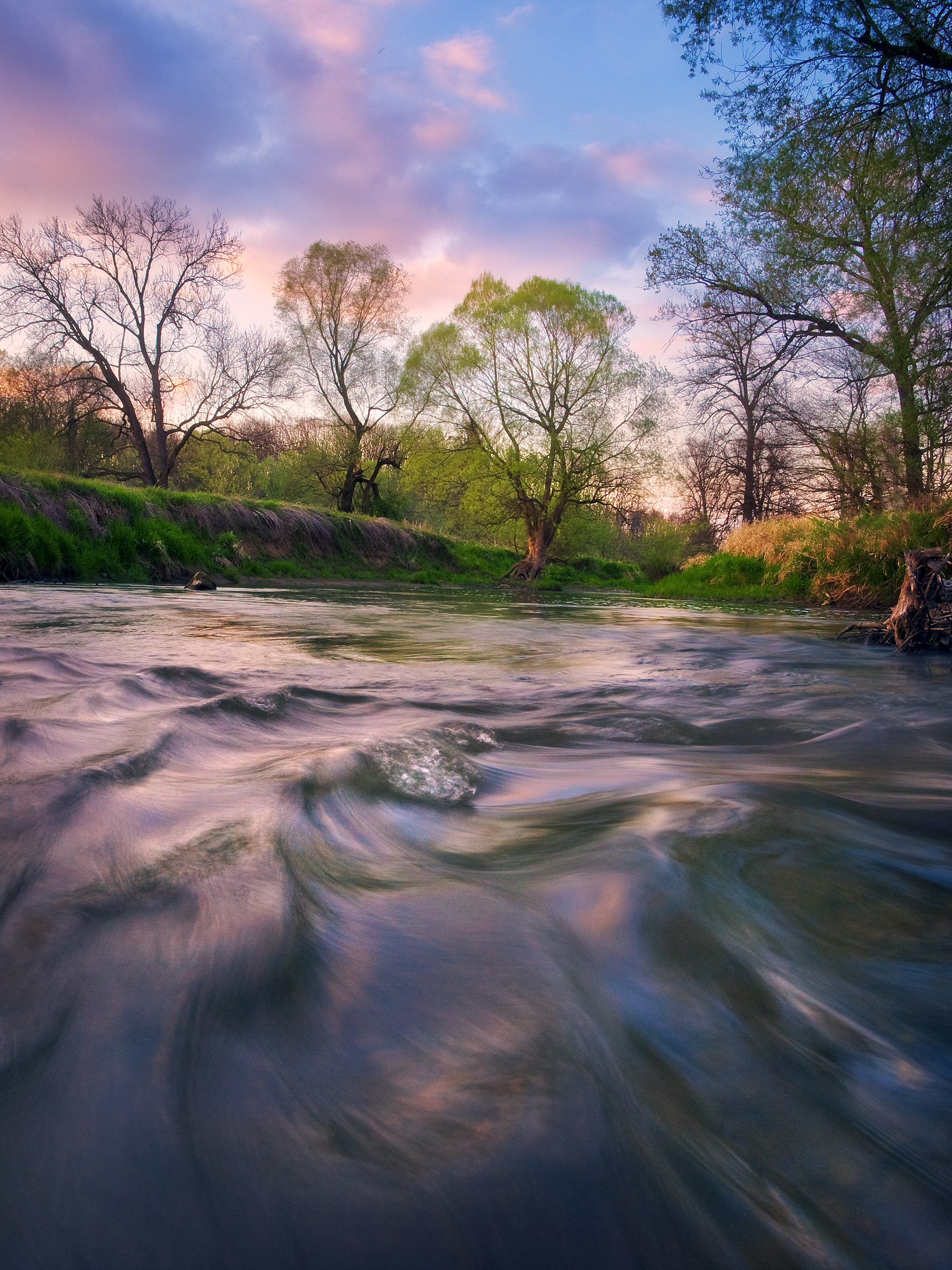 Spring at River Odra