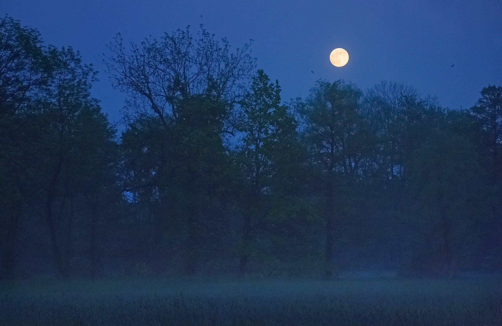 Měsíc nad loukami