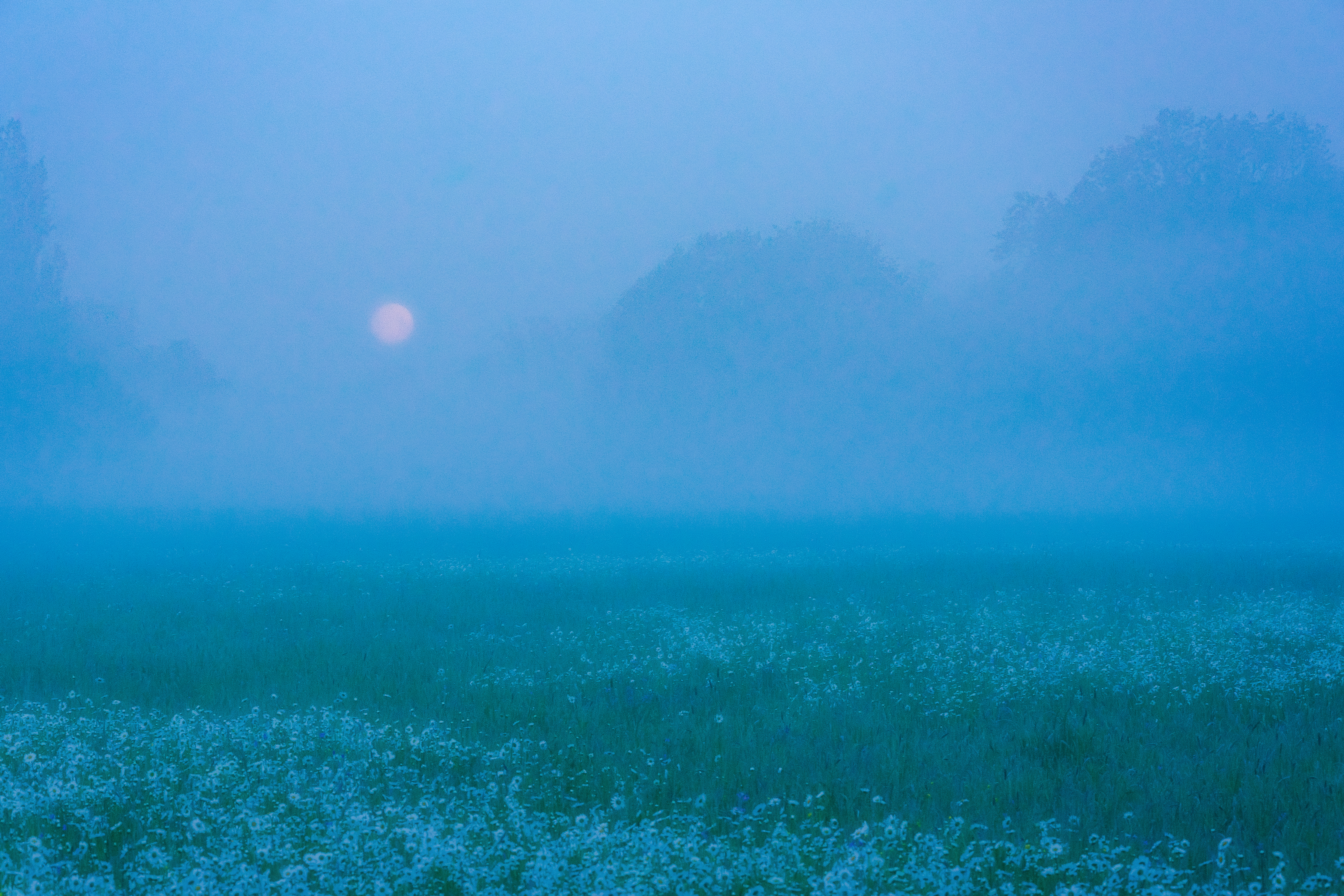 Západ měsíce nad loukami