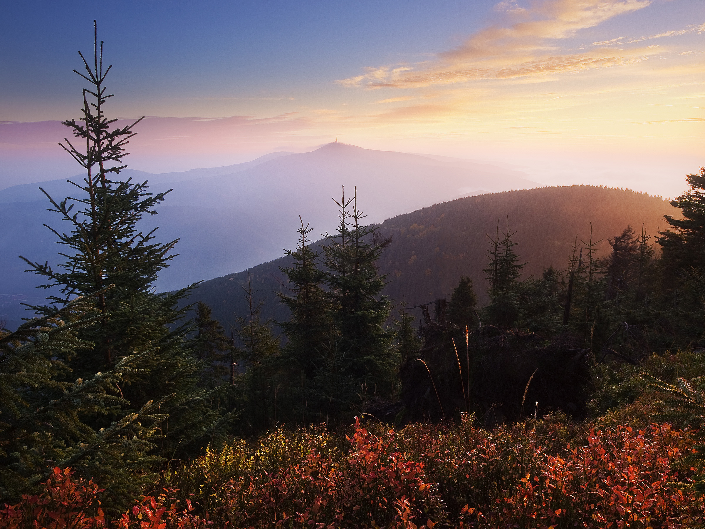 Queen of Beskydy Mountains