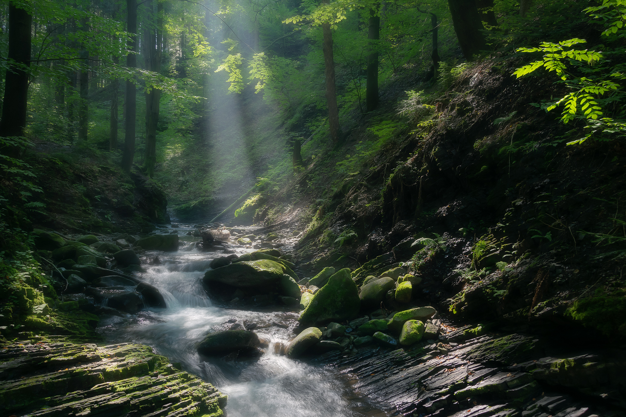 Waterfalls in Forest with Sunlight