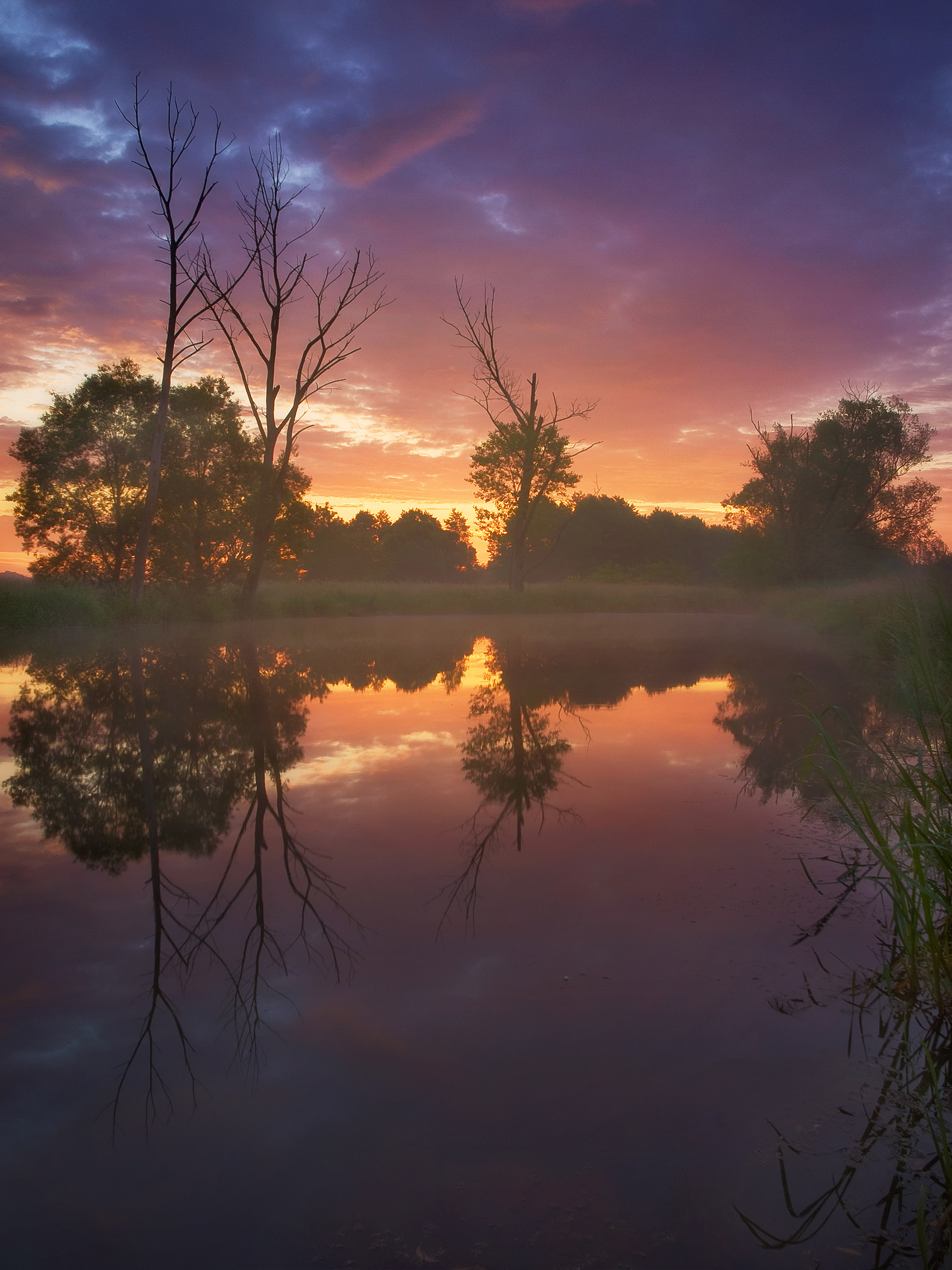 Swamp Sunrise