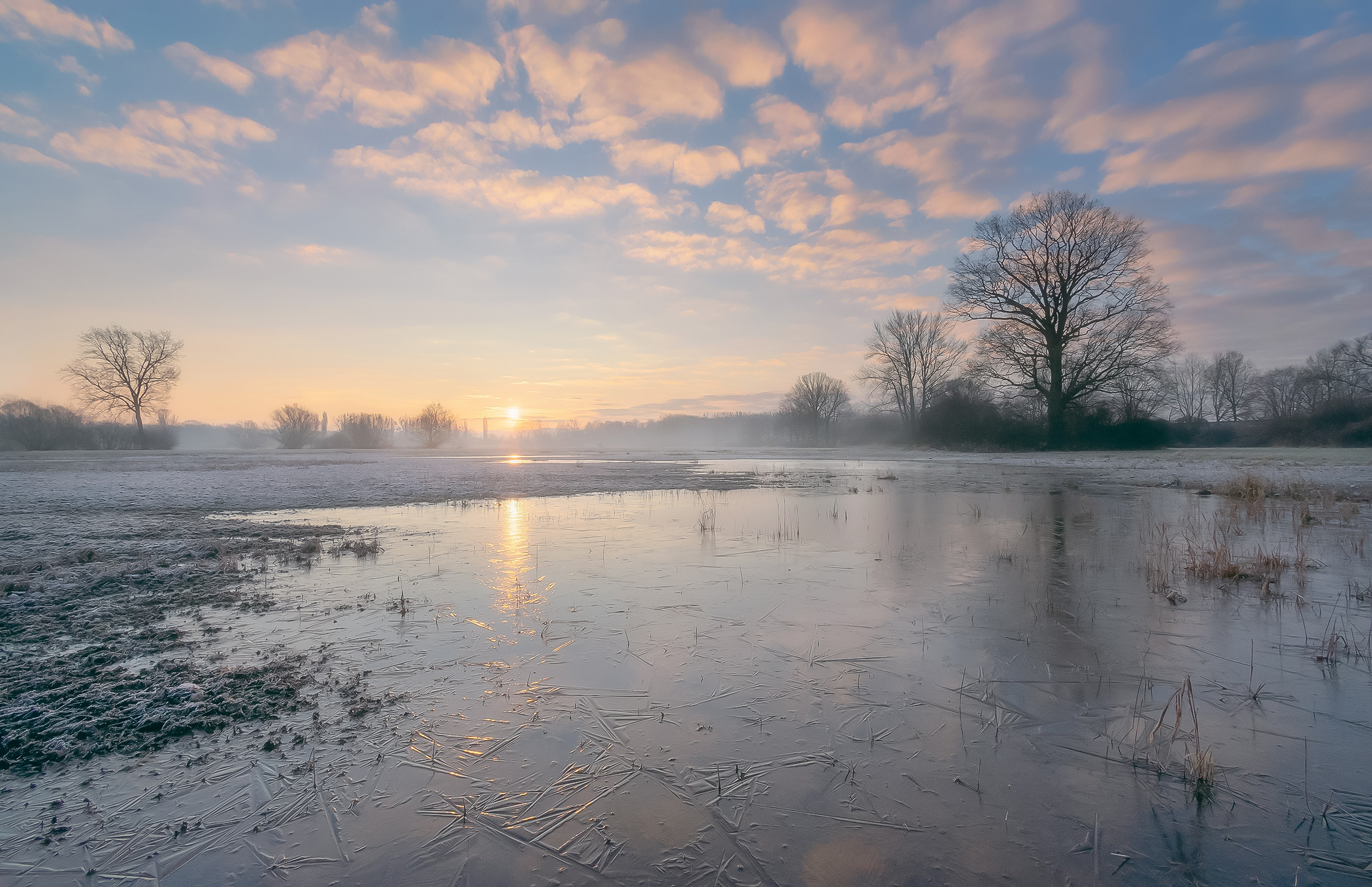 Flooded Meadows in Winter