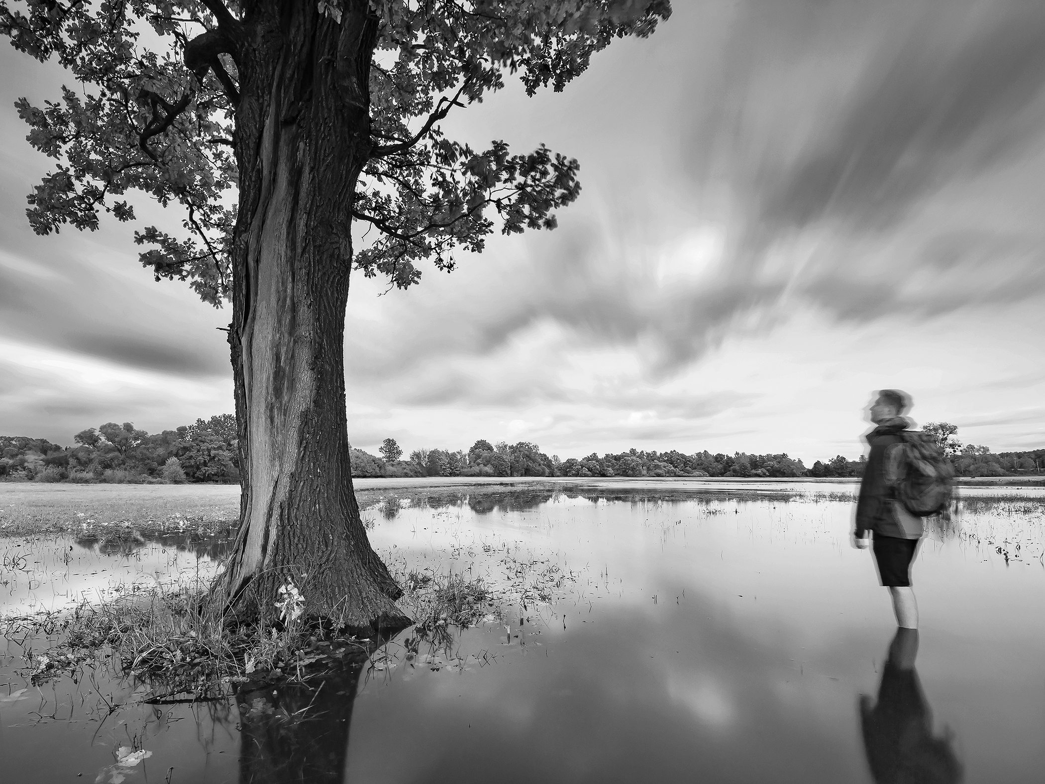 Wading in the Meadows 