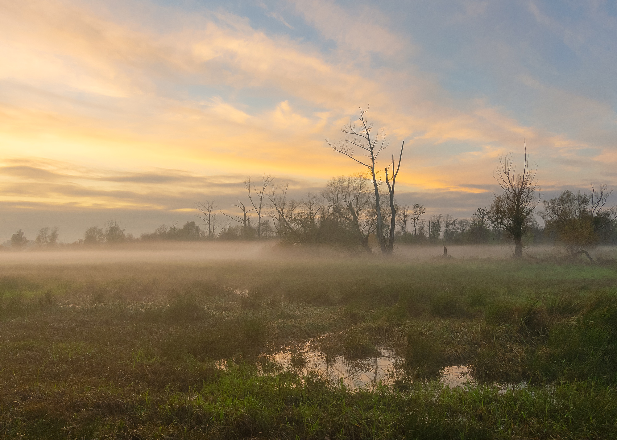 Wetlands at Sunset 
