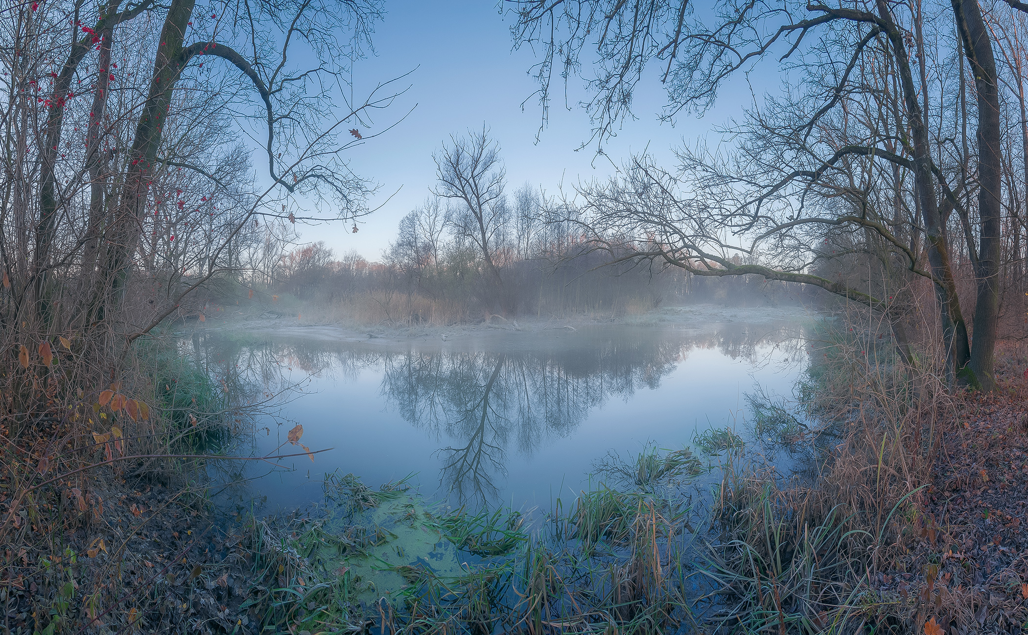 Dead Meander of Morava River