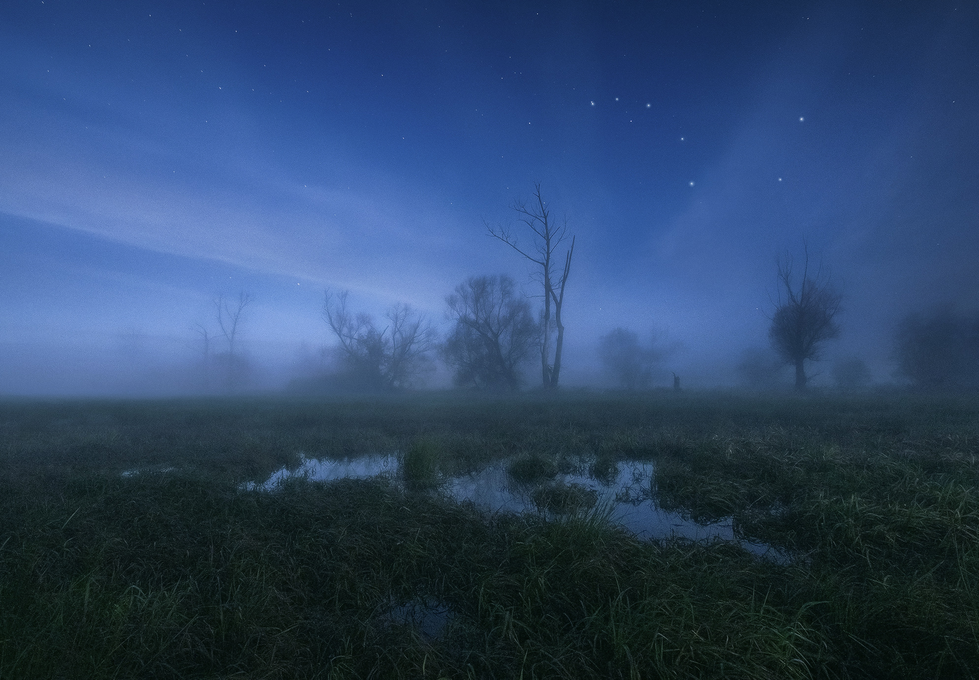 Night above Swamps
