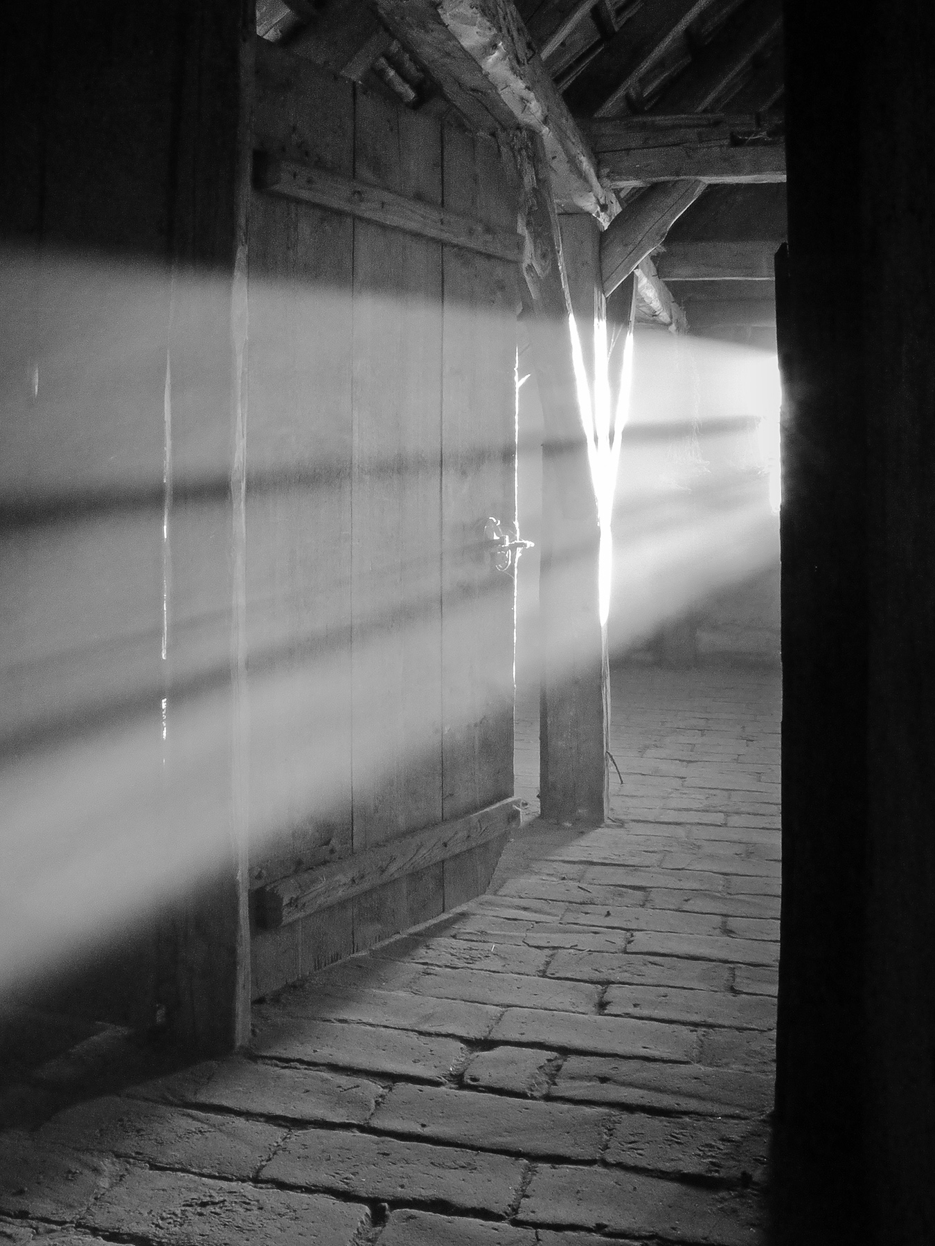 Light in Attic