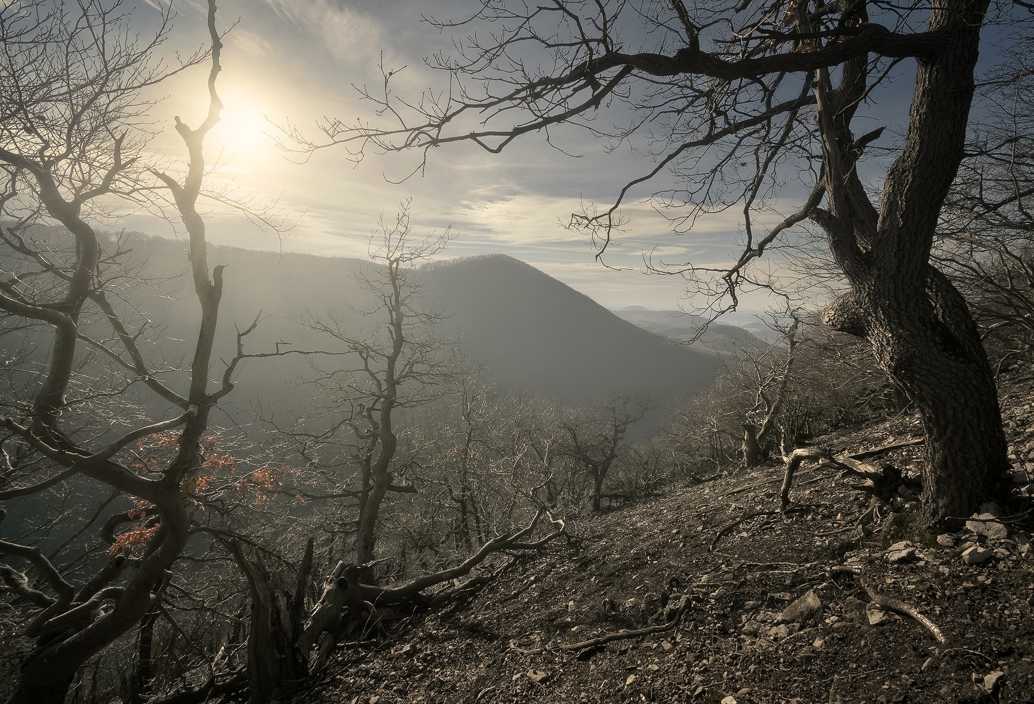 Dry Landscape