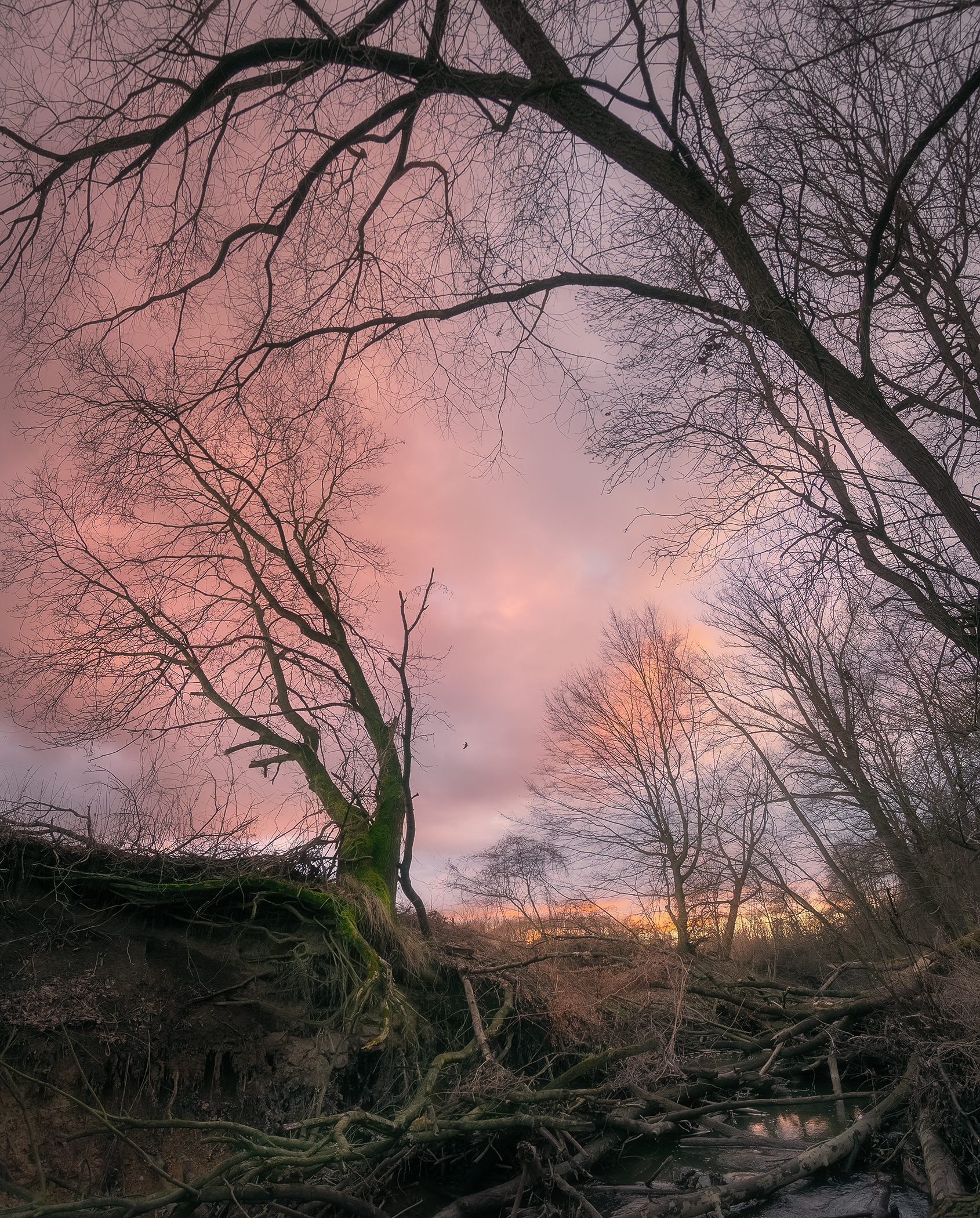 End of Winter in Odra Basin