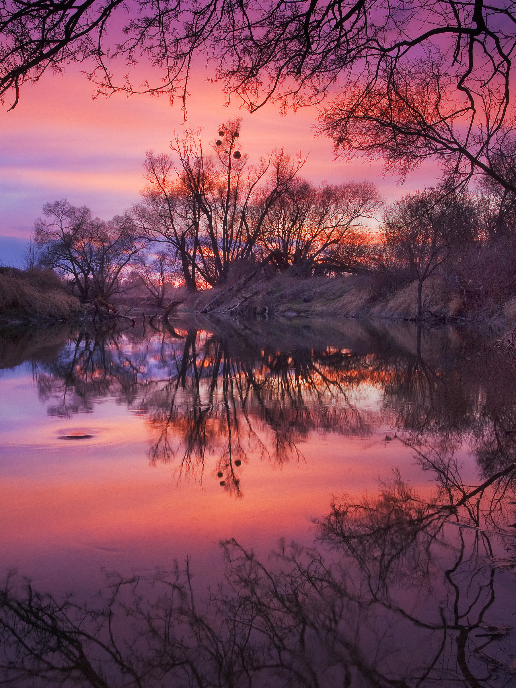 Mysterious River Odra