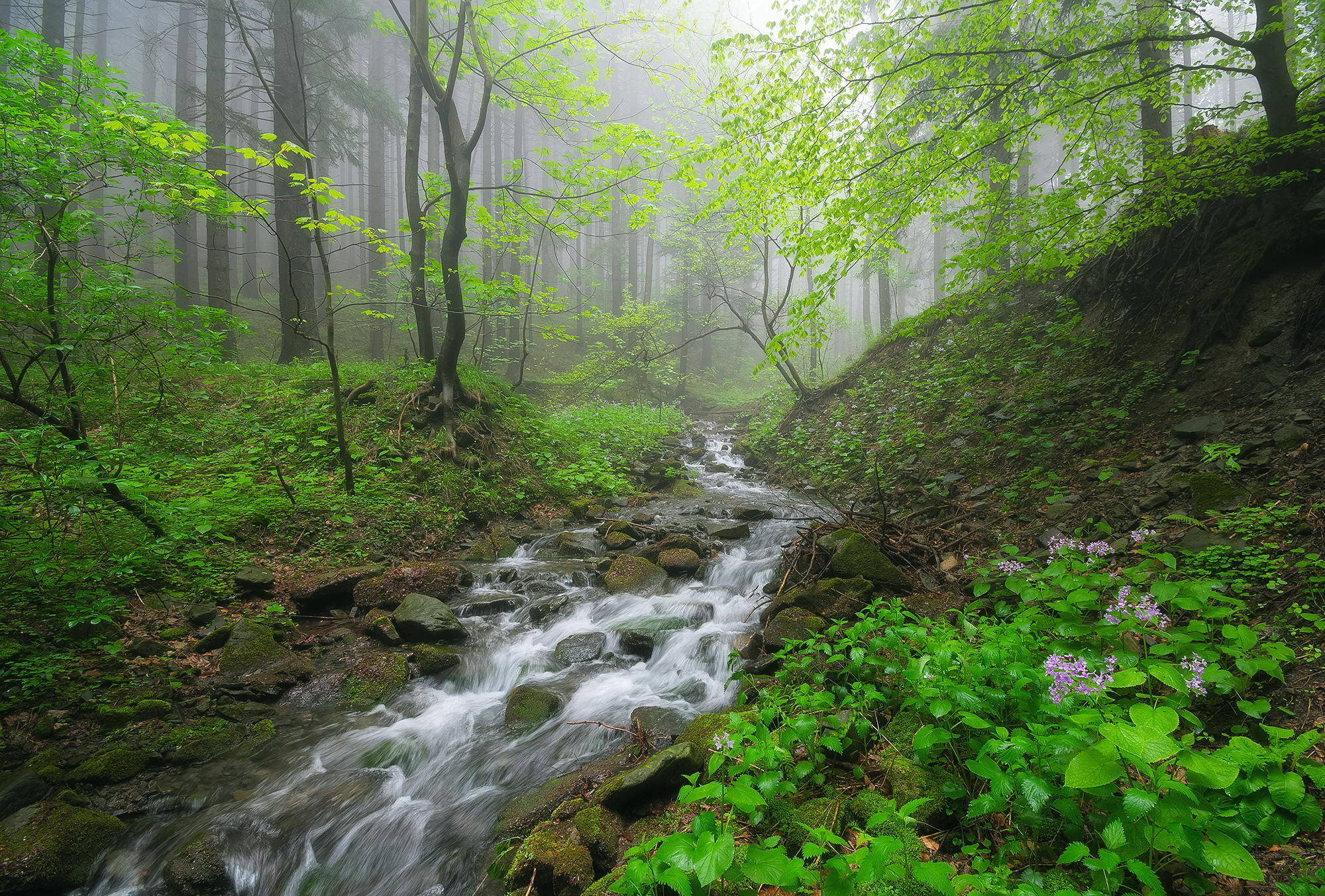 Beskydy Mountains Garden