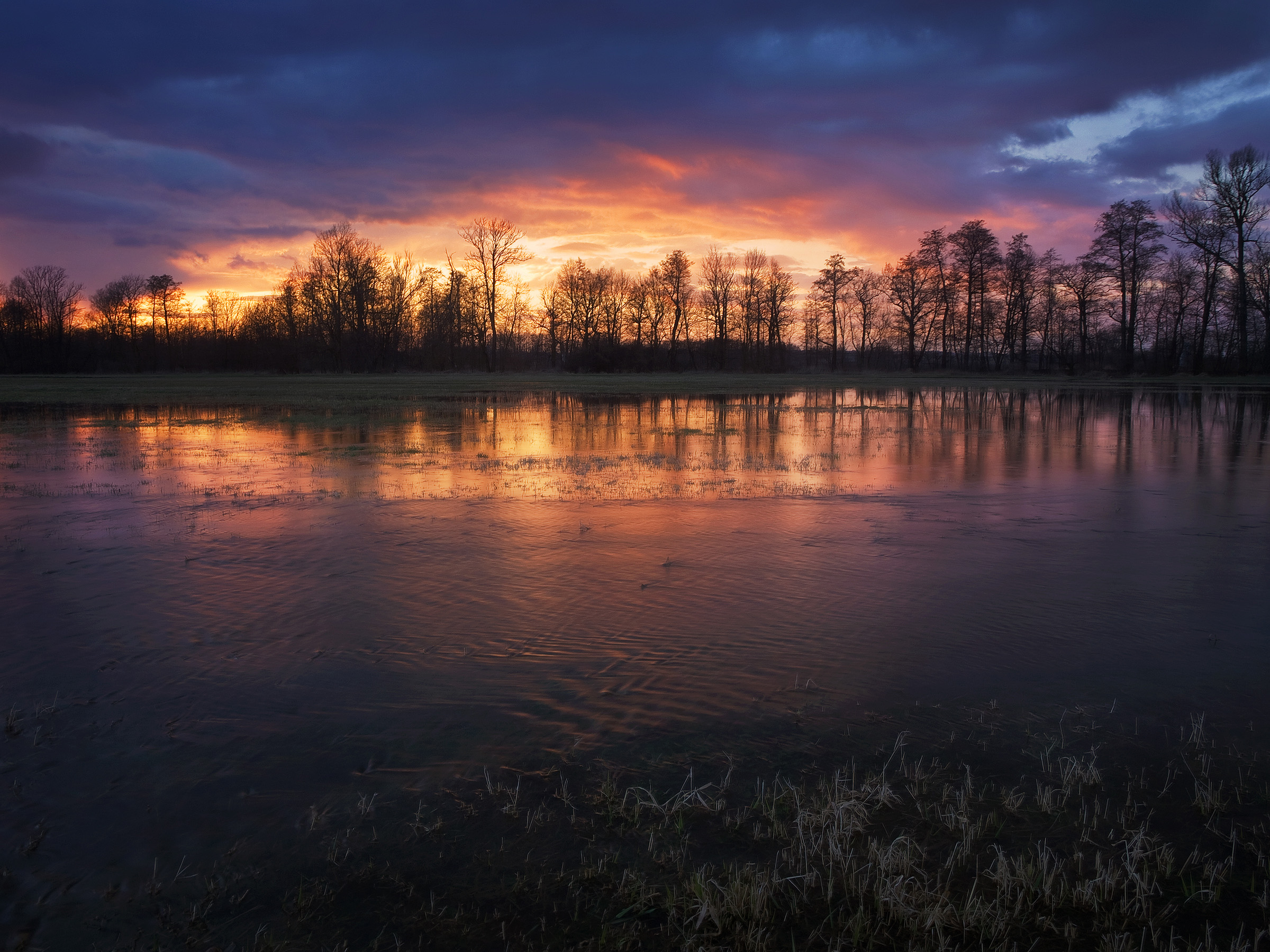 Flooded Meadows