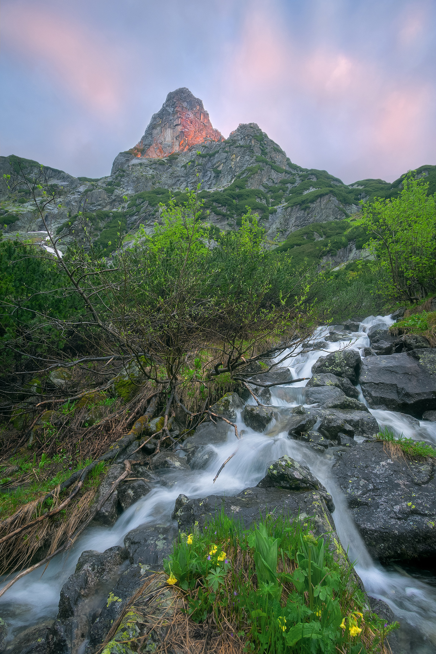 High Tatras Garden