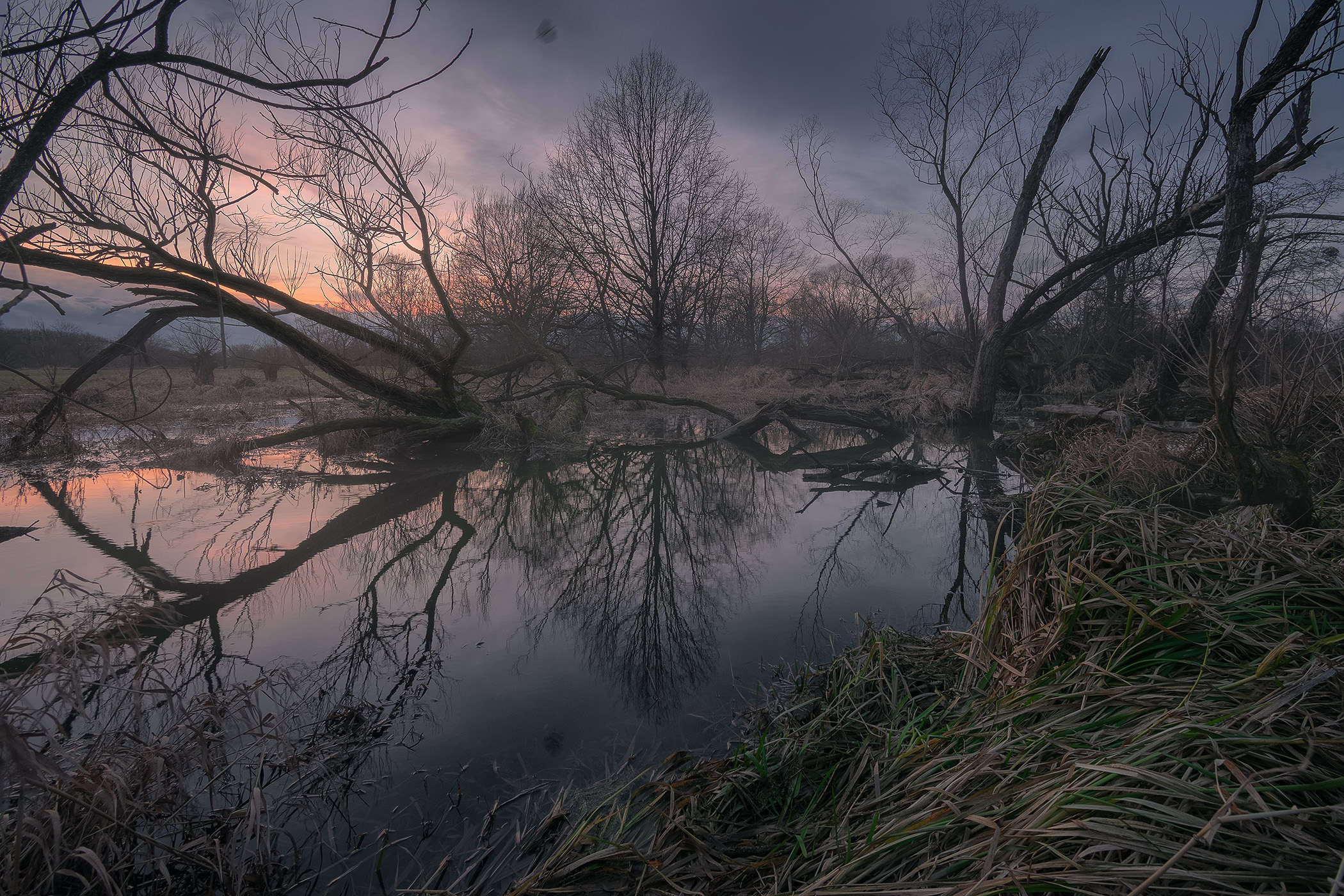 Gloomy Evening