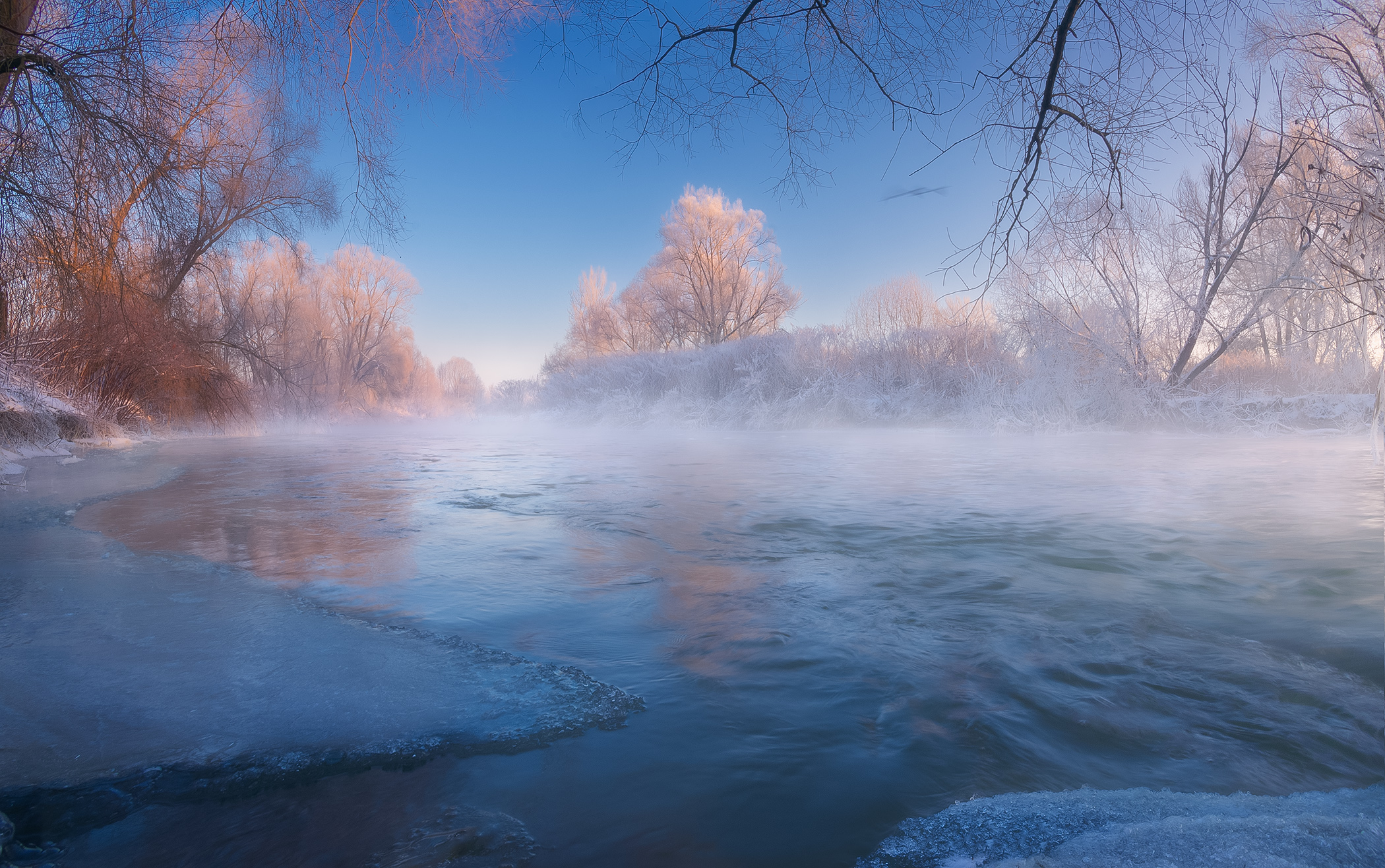 Freezing Morning