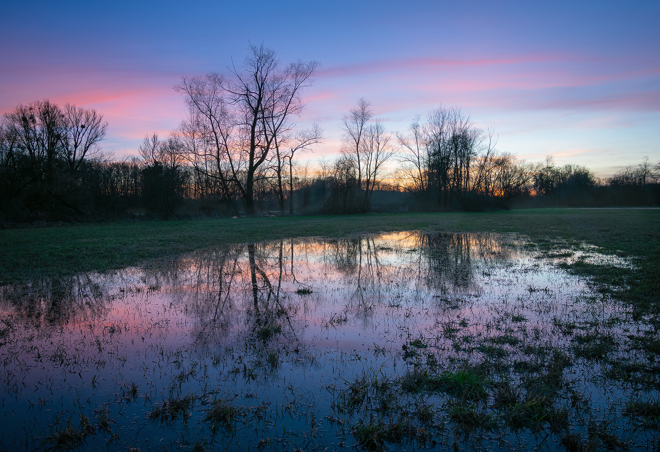 Flooded Meadows at he Dusk