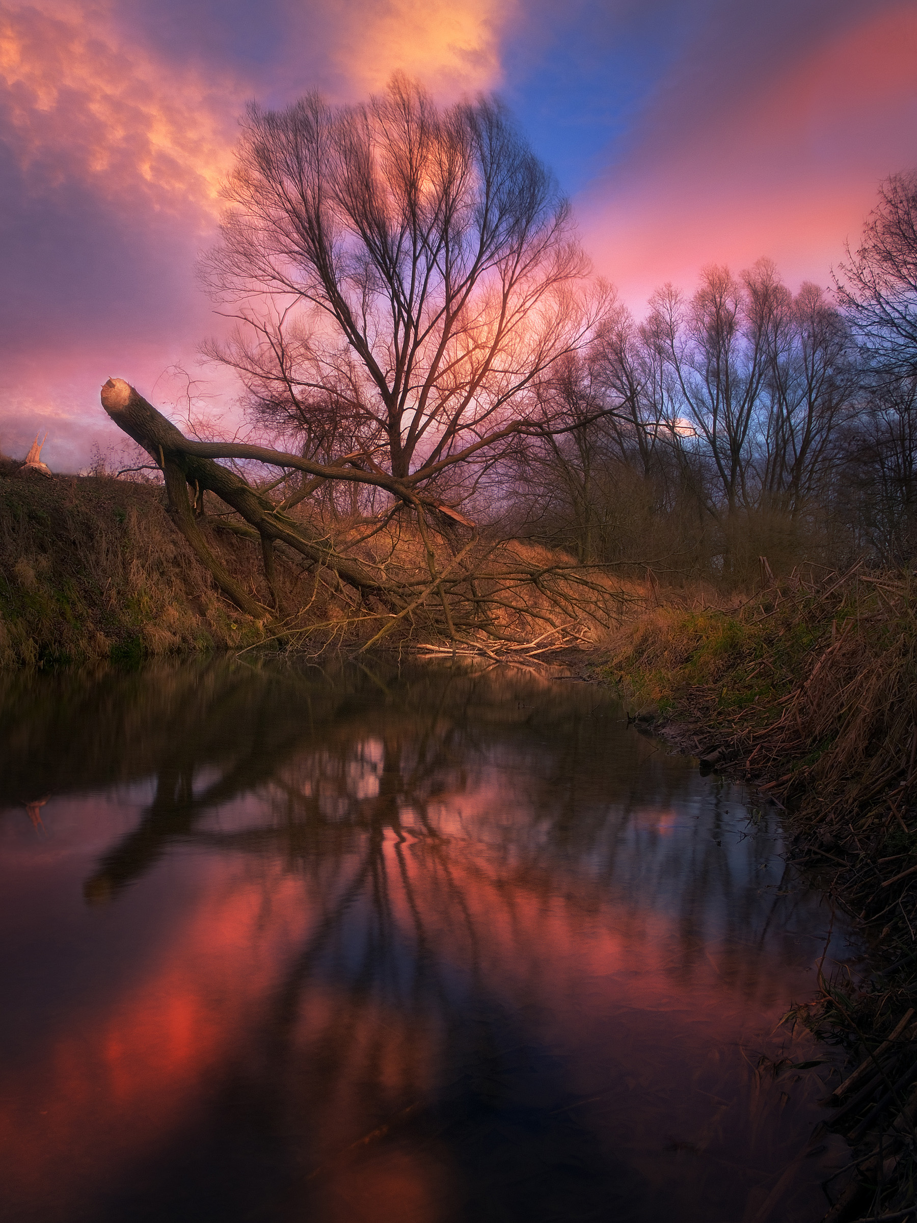 Beaver´s Territory