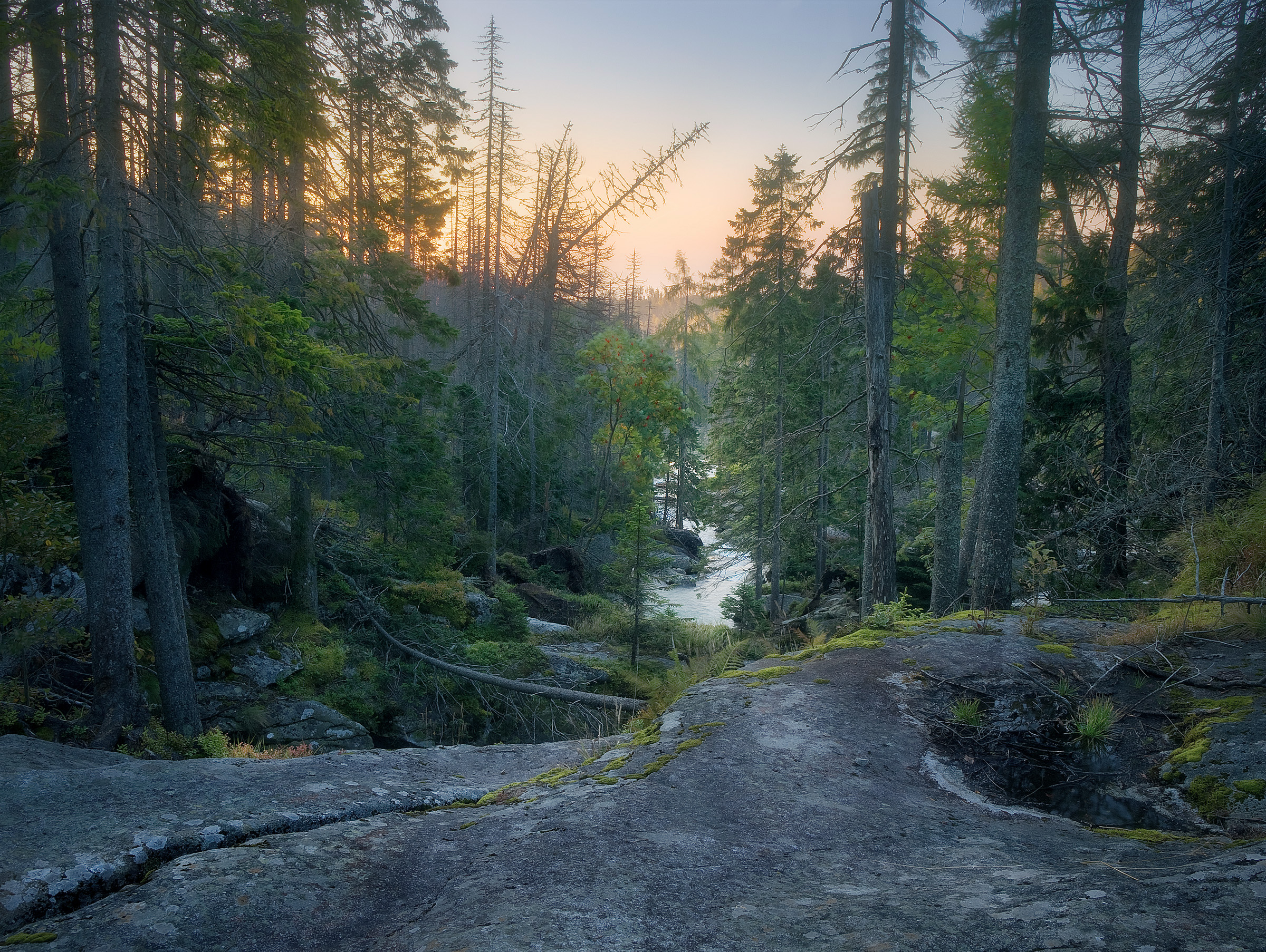 Slovakian Wilderness