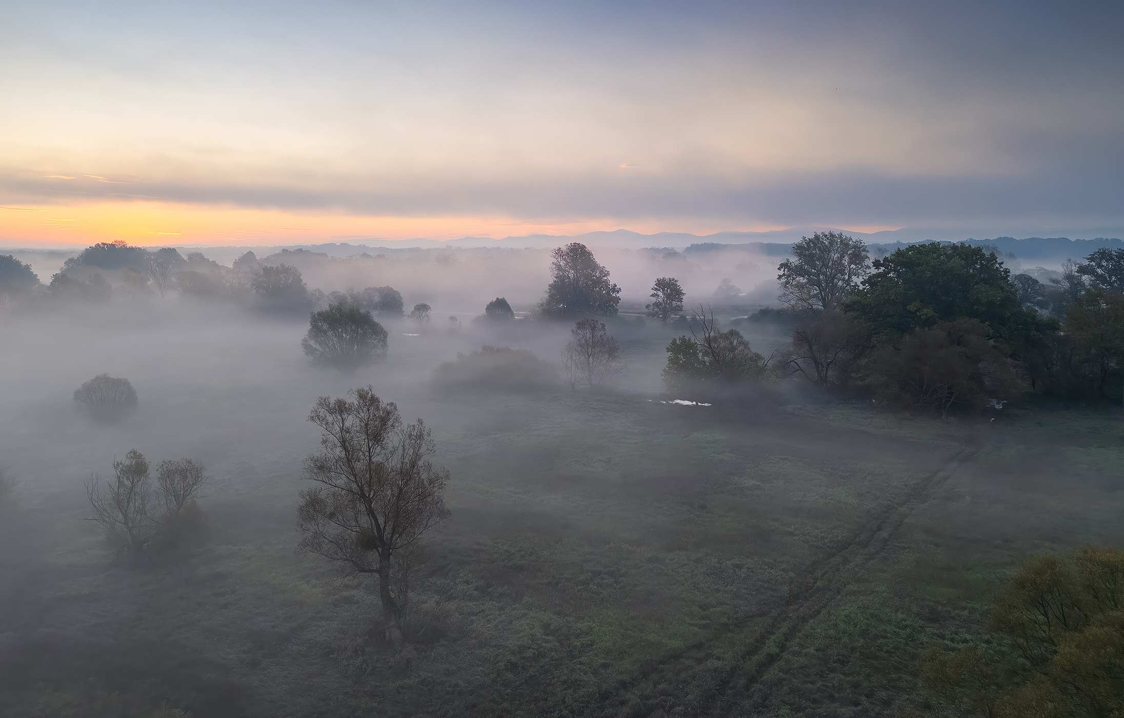 Odra Basin Nature Reservation