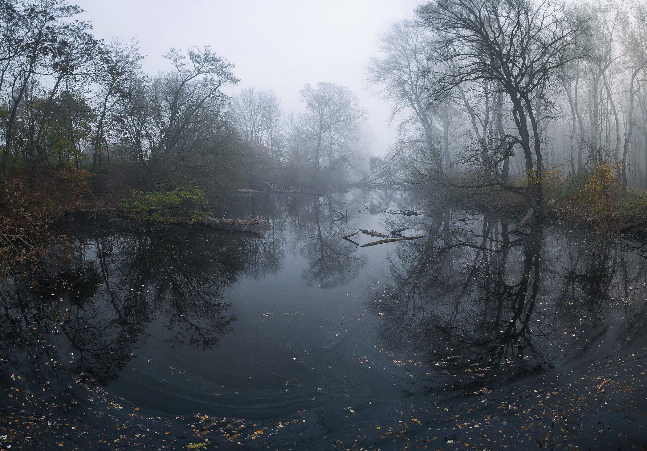 The Blind Arm of the Morava River in the Fog
