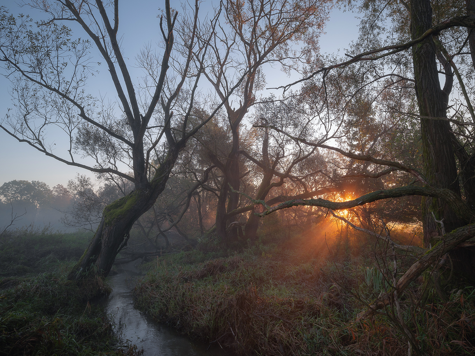 Indian Summer