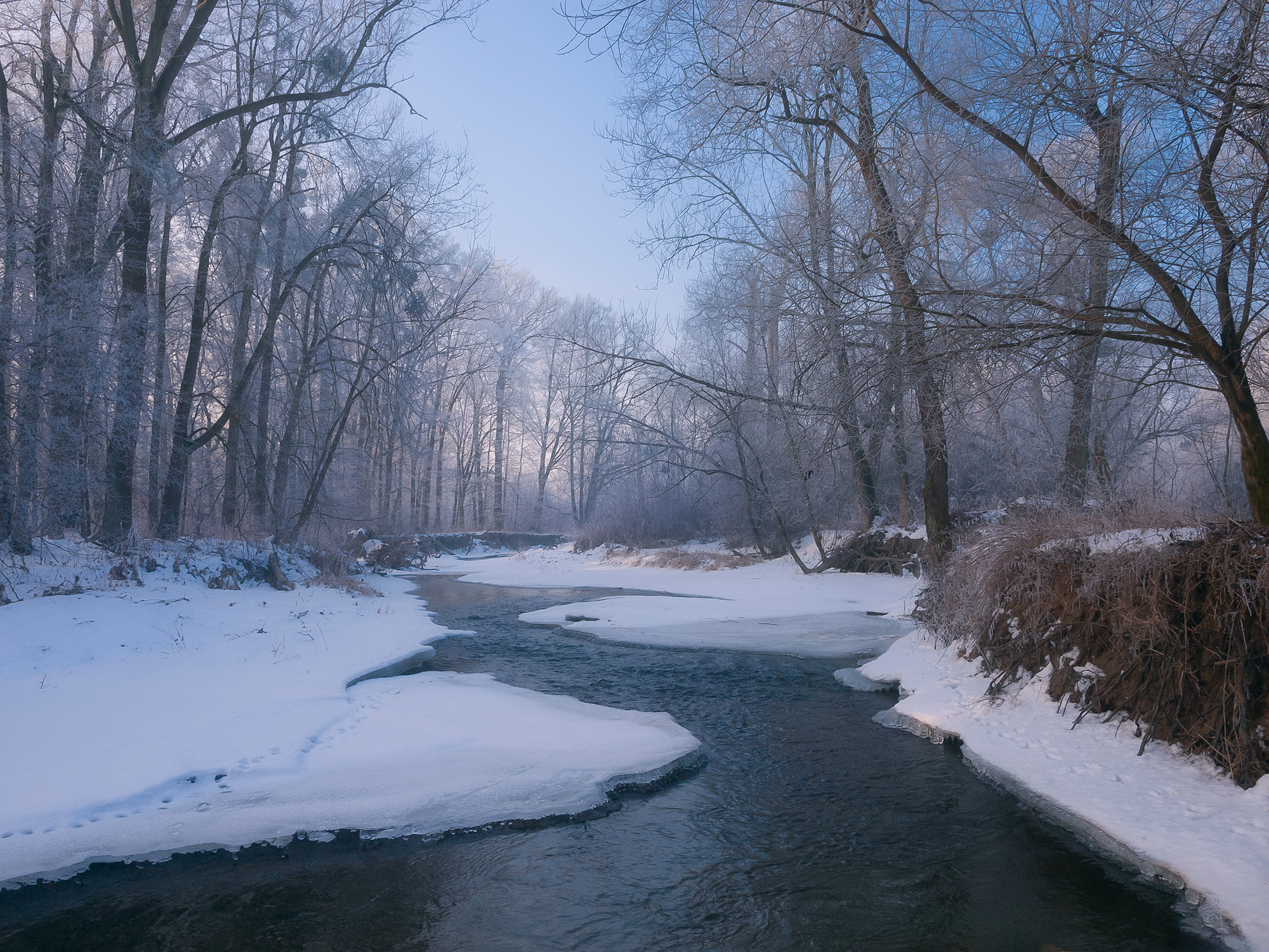 River Odra at Bernartice Village