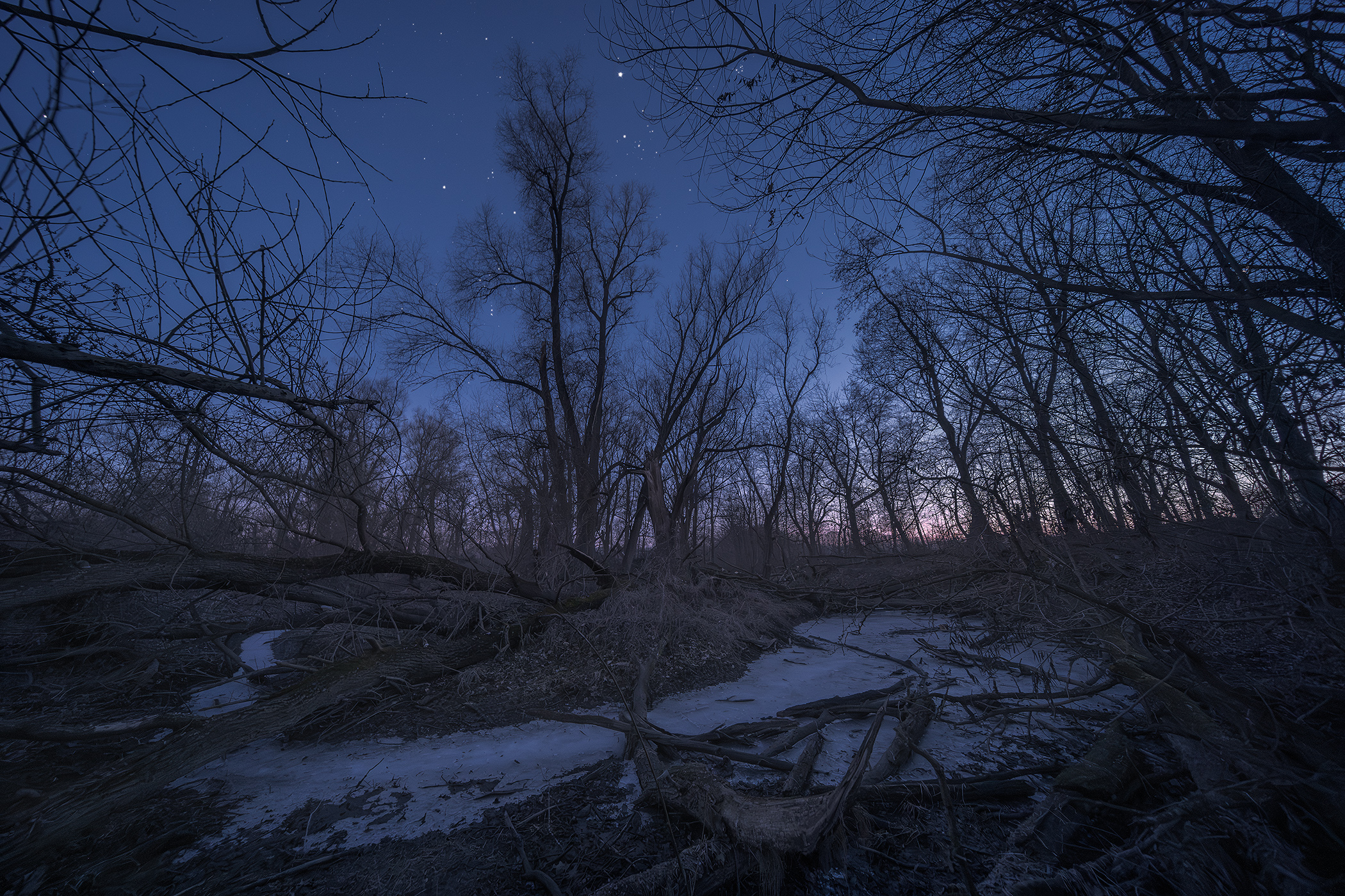 Night at Floodplain Forest