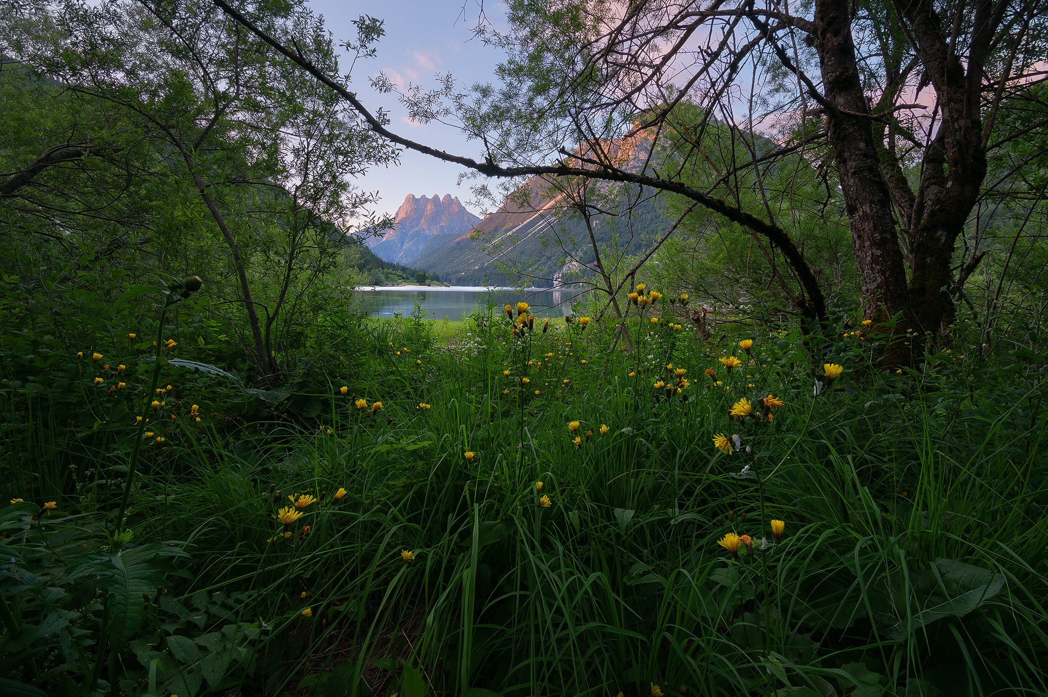 At Alps Lake