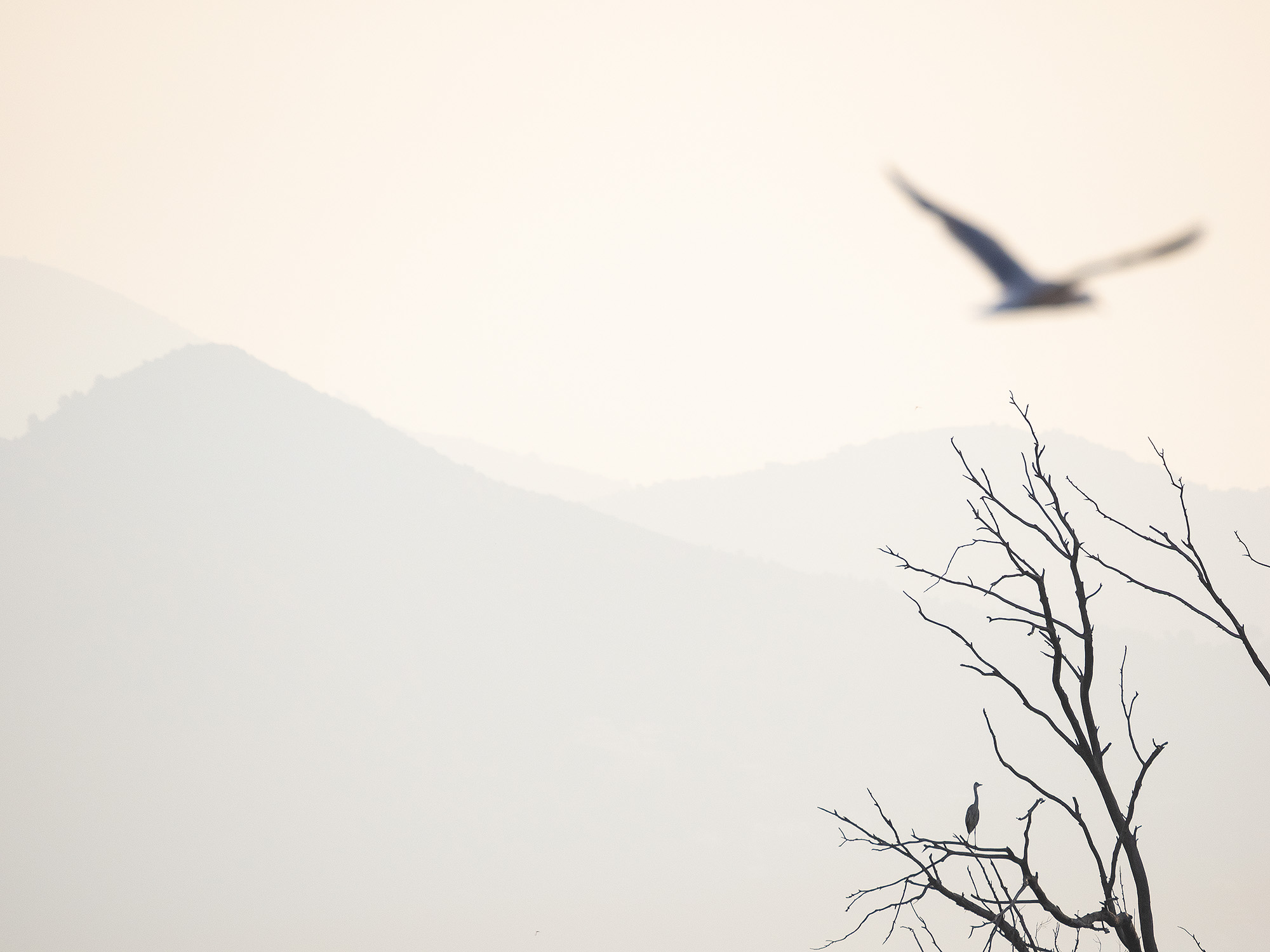 Unbalanced Composition