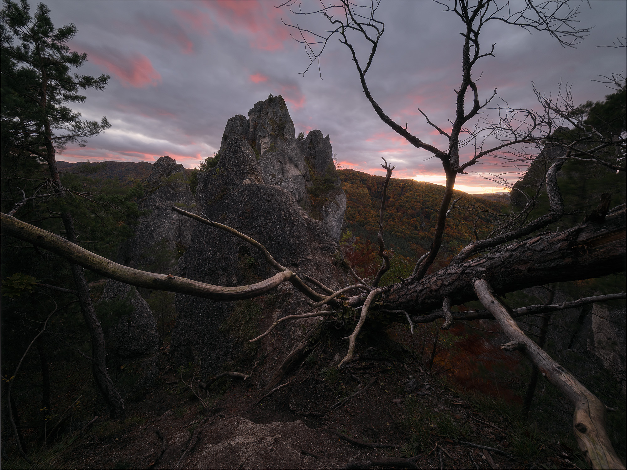 Evening at the Rocks