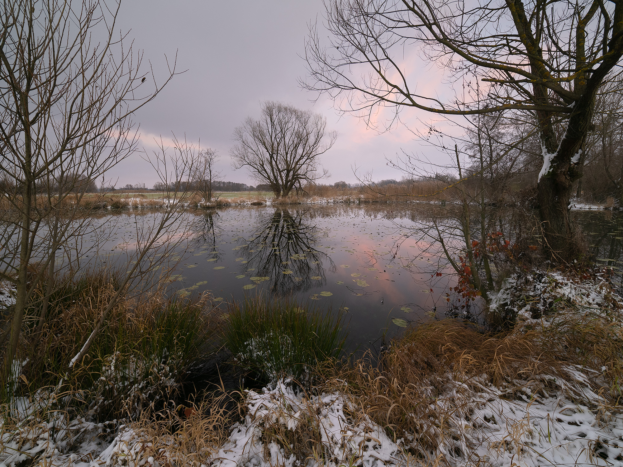 Příchod zimy do Poodří