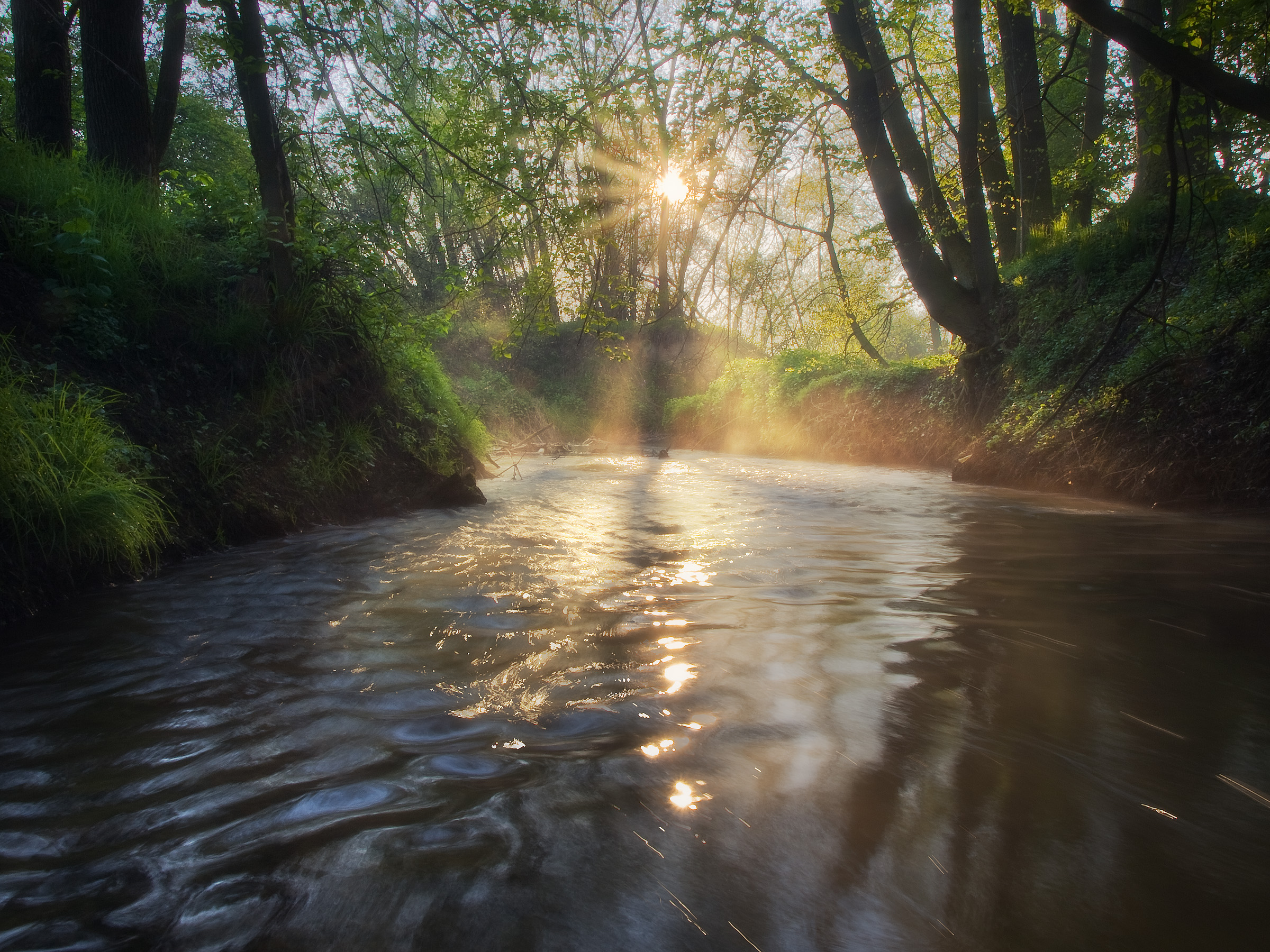 River Polančice