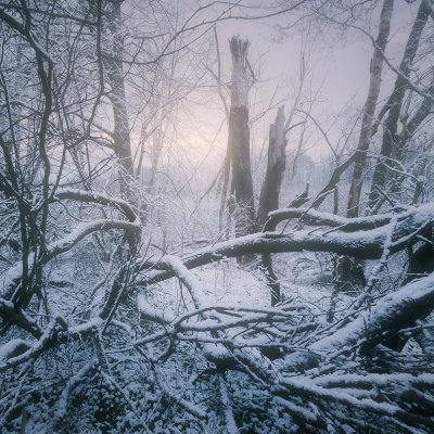 Intricacy of Trees