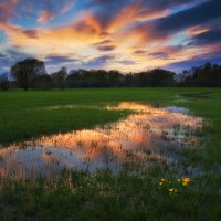 Flooded Meadows