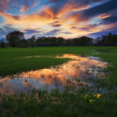 Flooded Meadows