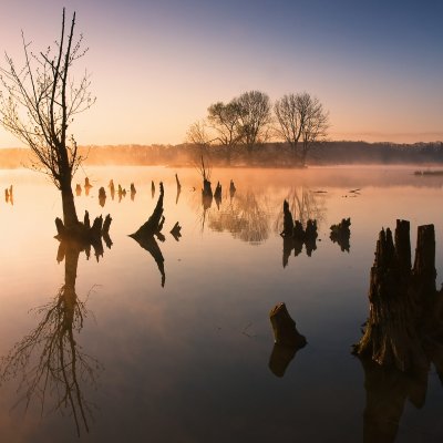 Morning at Pond II