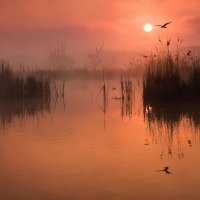 Morning at Kotvice Pond