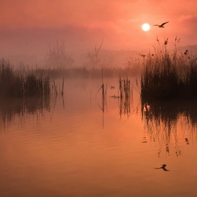 Morning at Kotvice Pond