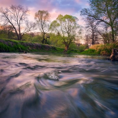 Spring at River Odra