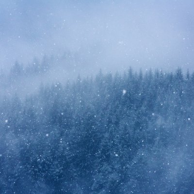 Snowing in Beskydy Mountains