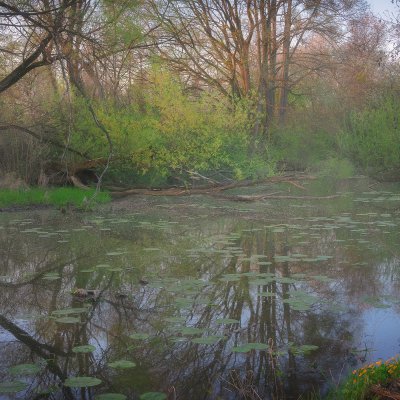 Dead Meanders of Odra River