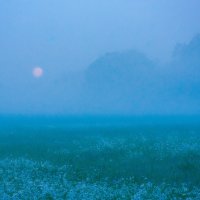 Moonset above Misty Meadows