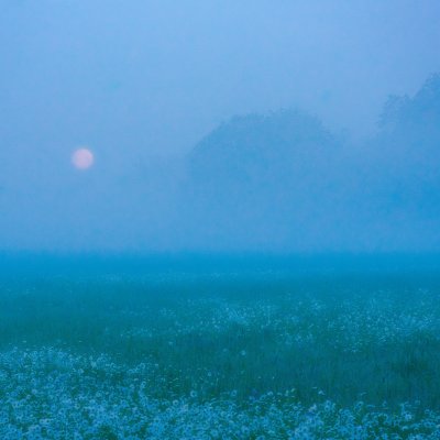 Moonset above Misty Meadows